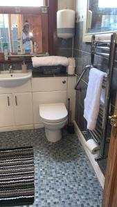 a bathroom with a toilet and a sink and a mirror at Home from Home in London
