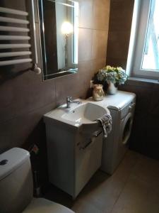 a bathroom with a sink and a washing machine at Noclegi Tuszyn M in Tuszyn