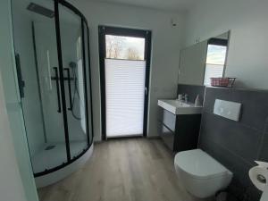 a bathroom with a toilet and a shower and a sink at Ferienhaus Residenz am Stausee in Schotten