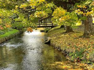 uma ponte sobre um rio com árvores e folhas em Forest B & B em Ringwood