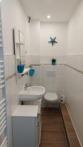 La salle de bains blanche est pourvue d'un lavabo et de toilettes. dans l'établissement Bellevue-Haus-C-Wohnung-21, à Großenbrode