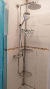La salle de bains est pourvue d'une douche avec un pommeau de douche. dans l'établissement Bellevue-Haus-C-Wohnung-21, à Großenbrode