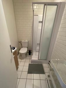 ein kleines Bad mit einem WC und einer Dusche in der Unterkunft Appartement à 200 mètres de la gare in Rouen
