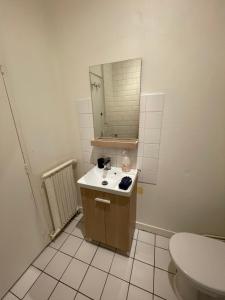 ein Badezimmer mit einem Waschbecken, einem Spiegel und einem WC in der Unterkunft Appartement à 200 mètres de la gare in Rouen
