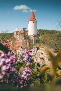 ZdiceにあるDomeček na Květinovém statkuのピンクの花の咲く丘の上に塔がある建物