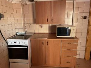 Dapur atau dapur kecil di Apartmány U sjezdovky Janské Lázně
