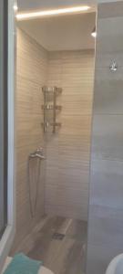 a bathroom with a shower with a sink and a toilet at PortoAgali in Porto Koufo +86 photos