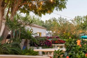 Dunas Luxury Beach Resort Tarifa外面的花园
