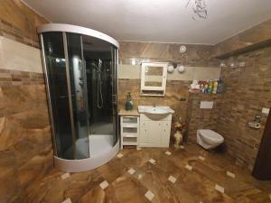 un bagno con doccia, lavandino e WC di Pokoj v zahradě a Hazlov