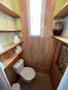 een kleine badkamer met een toilet en een raam bij Kamene in Augšlīgatne