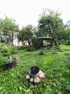 a garden with a fire pit in the grass at Kamene in Augšlīgatne