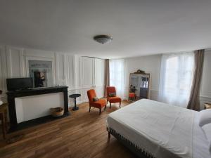 1 dormitorio con 1 cama, 2 sillas y TV en LE ZOLA, en Bourges