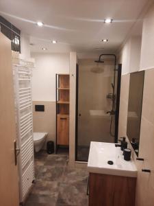 Bilik mandi di Apartman U Adamov