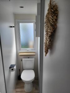 a bathroom with a toilet and a window at Tussen ´Zee & Meer´ in Lauwersoog