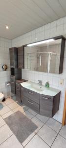 baño con lavabo y espejo grande en Ferienwohnung Ehmsen, en Groß Vollstedt