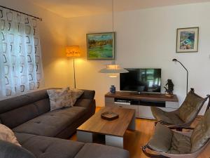 Una sala de estar con un sofá y un televisor. en Villa Toni, en Bled