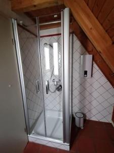 a shower in a bathroom with a glass door at Traumblick Rebenmeer in Gleisweiler