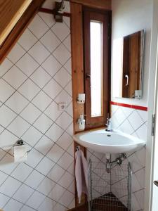 a bathroom with a white sink and a mirror at Traumblick Rebenmeer in Gleisweiler