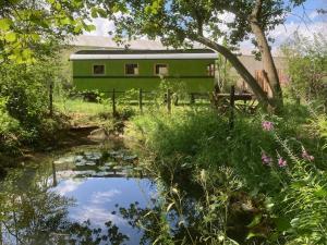 een groen huis met een vijver ervoor bij Ecostay de Wildernis in Wilp