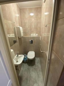 małą łazienkę z toaletą i umywalką w obiekcie AS Pomorze w Gdańsku