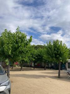 una fila de árboles delante de un coche aparcado en Camping el Pinar Platja en Santa Susanna