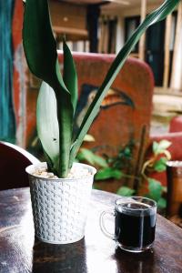 Foto dalla galleria di Lazy Dog Bed & Breakfast a Boracay