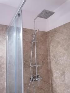 a shower with a metal ladder in a bathroom at La Casuță in Dubova +45 photos