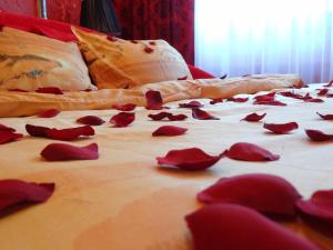 a bed with red rose petals on it at Amour Rouge Suite (Adults Only) in Galaţi