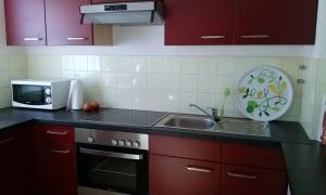 a kitchen with red cabinets and a sink and a microwave at Ferienwohnung Harzluchs mit Balkon & Sauna im Haus in Hohegeiß