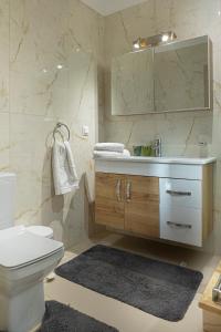a bathroom with a toilet and a sink and a mirror at Irinis Apartments Karfas, Chios in Chios