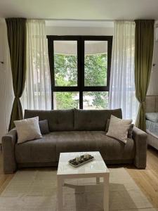 ein Wohnzimmer mit einem Sofa, einem Tisch und einem Fenster in der Unterkunft BeGreat in Belgrad