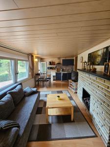 HertigswaldeにあるFerienhaus am Urzeitpark Sebnitzのソファと暖炉のあるリビングルーム