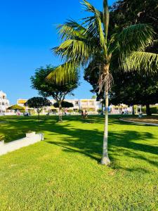 Vonkajšia záhrada v ubytovaní Villa Horacia - Playa de la Jara con Piscina