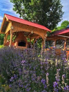 a wooden pavilion with a field of purple flowers at La 3 stejari, Călimănești in Sălătrucel