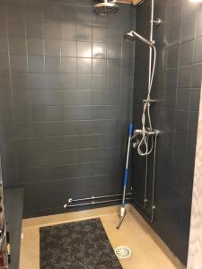 a bathroom with a shower with a mop at Papula-huoneisto 