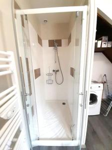 um chuveiro com uma porta de vidro na casa de banho em Gite Porte de Champagne Levroux em Levroux