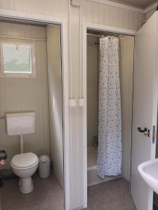 een badkamer met een toilet en een wastafel bij Camping & Glamping Grintovec in Preddvor
