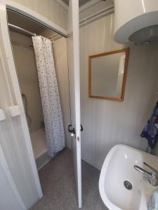 a bathroom with a sink and a toilet and a mirror at Camping & Glamping Grintovec in Preddvor