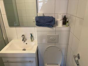 a bathroom with a sink and a toilet and a mirror at Dali Oslo center apartment in Oslo