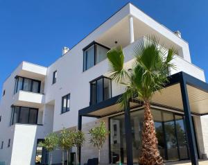 a white building with palm trees in front of it at Private Room Belmar Mandre in Mandre