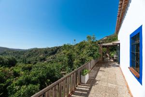 Příroda nedaleko vily