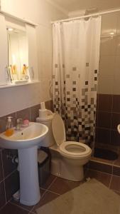 uma casa de banho com um WC, um lavatório e um chuveiro em House Stefanovic 