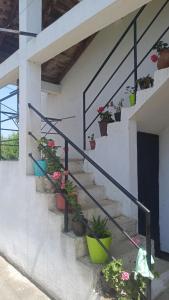 um conjunto de escadas com vasos de plantas sobre eles em House Stefanovic 