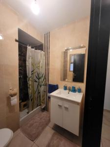 a bathroom with a sink and a shower and a toilet at Appartement en résidence privée in Marrakesh