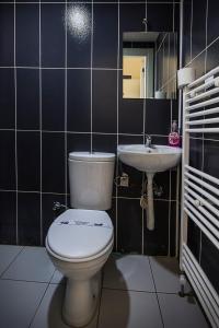 埃迪爾內的住宿－YİRMİ İKİ，一间带卫生间和水槽的浴室