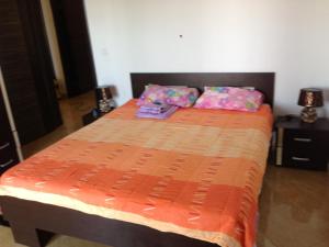 Postel nebo postele na pokoji v ubytování Apartments Svetlana