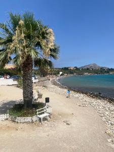 uma palmeira sentada numa praia junto à água em kasakora em Casteldaccia