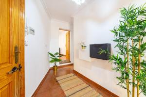 un corridoio con piante in vaso e una porta di Casa Maruchi - Apartamento a Almería