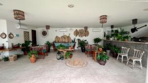 Sollaris Ecopousada في جاباراتينغا: غرفة بها كراسي وطاولات ونباتات الفخار