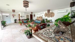Sollaris Ecopousada في جاباراتينغا: غرفة معيشة مليئة بالكثير من النباتات الفخارية